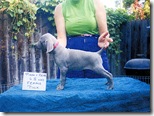 Hoover_6.5wks